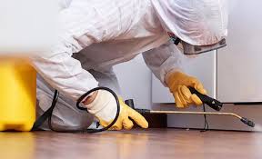 Best Real Estate Pest Inspections  in Williams, AZ